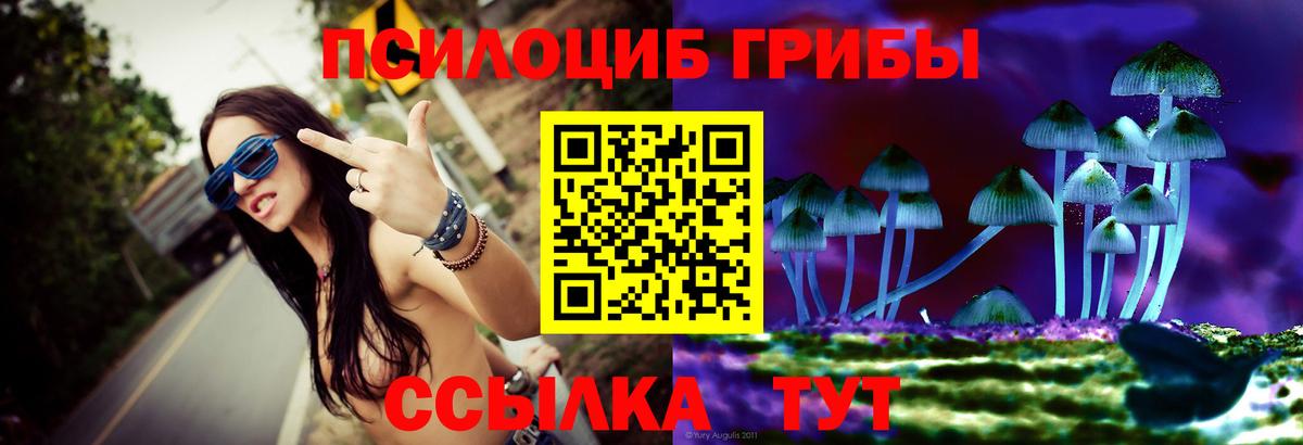 Псилоцибиновые грибы Cubensis  Вход с VPN  Сухой Лог 